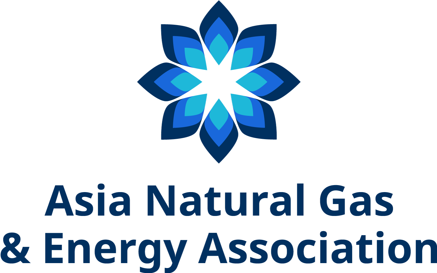 Asia Natural Gas and Energy Association