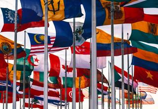 Flags of the world