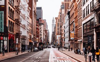 Where can American Studies take you?