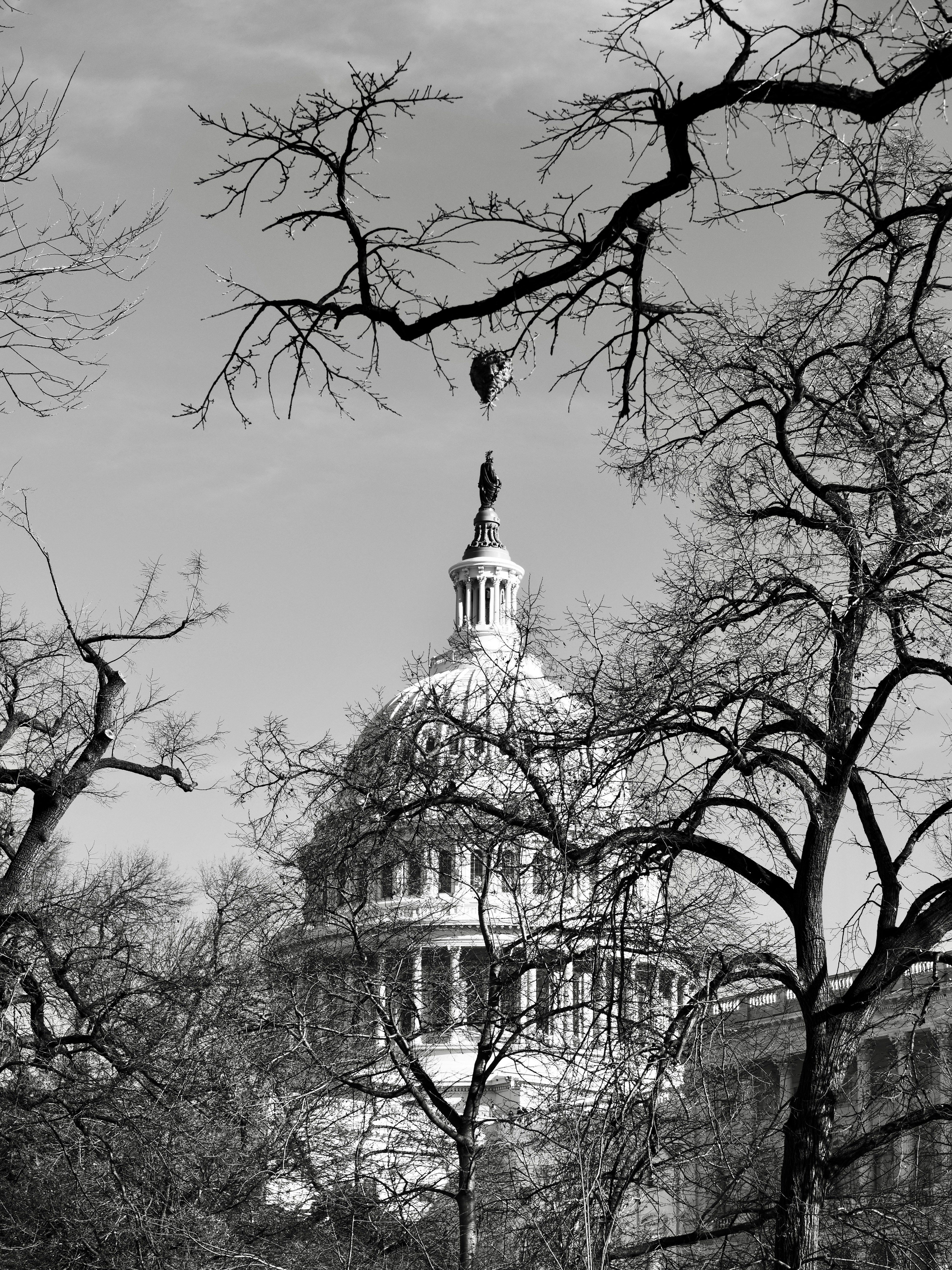 Capitol Building