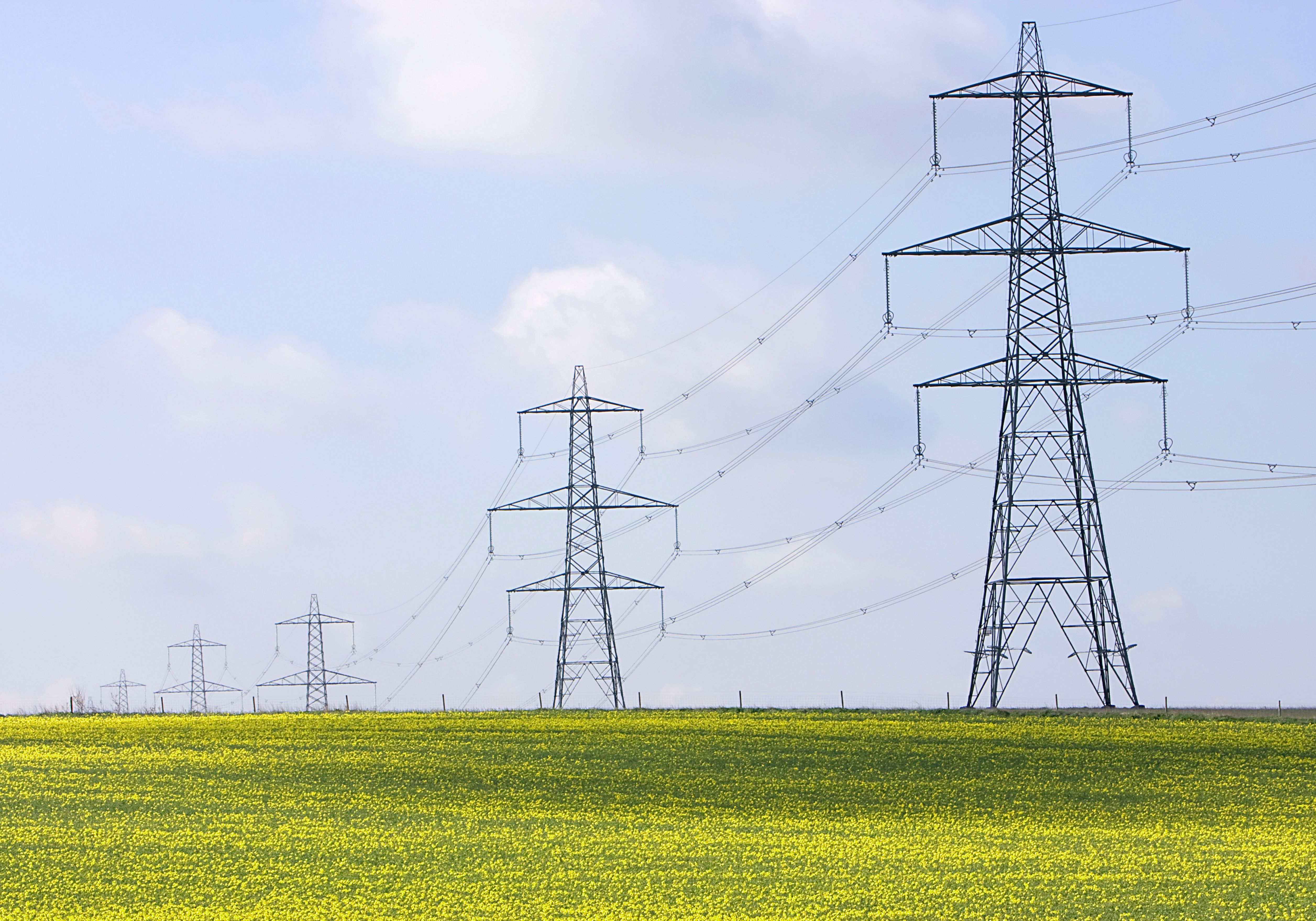 Electricity pylons in a field