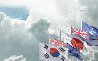 South Korea, New Zealand, Japan, Australia, NARO flags