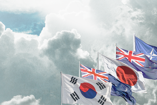 South Korea, New Zealand, Japan, Australia, NARO flags