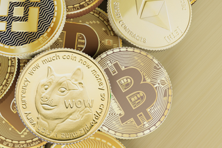 cryptocurrency-dogecoin.png