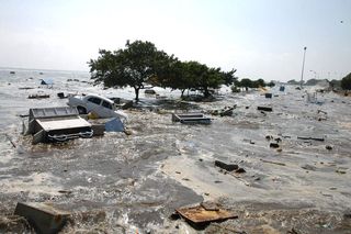 Marina Beach in Madras after a tsunami devastated the southern Indian coastline on 26 December 2004.