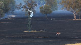 agriculture-fire.jpg