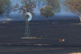 agriculture-fire.jpg