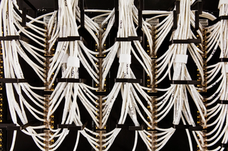 computer chip with AI written on the top