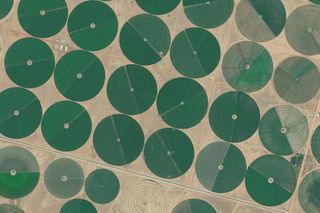 agriculture-satellite-feat.jpg