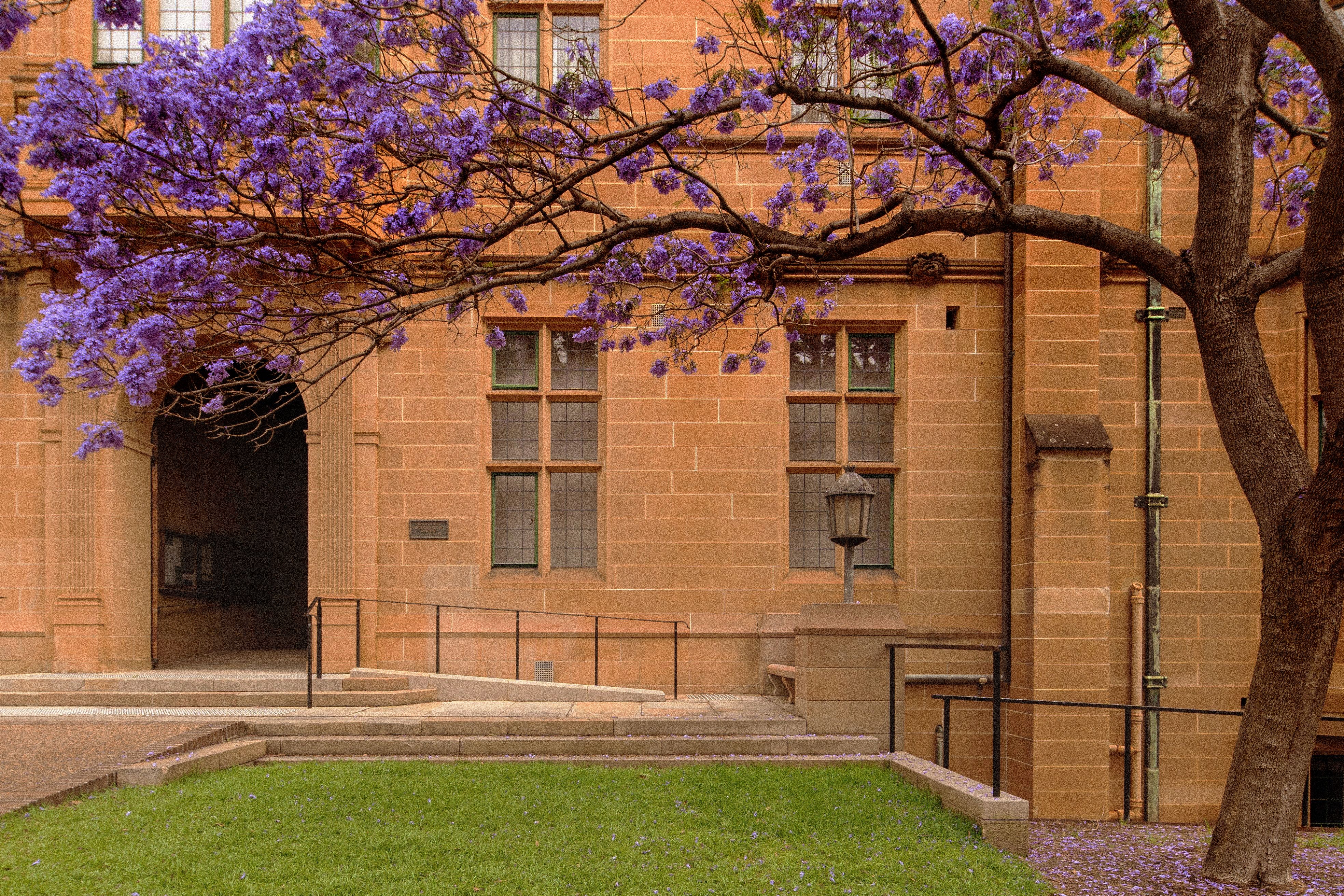 University of Sydney