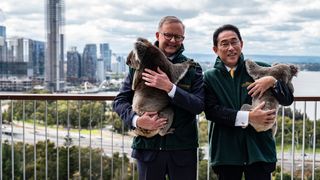 GettyImages-1244133932.jpg