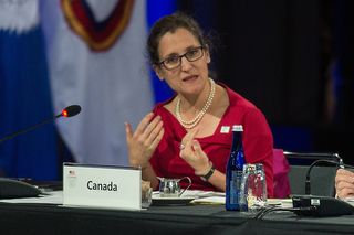 christina-freeland.jpg