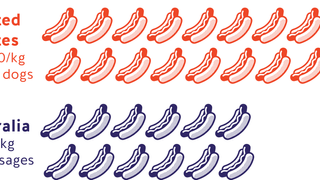 democracy-sausage.png