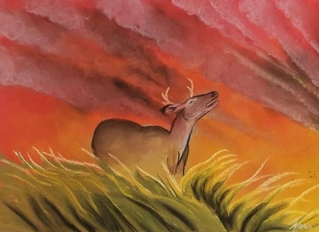 Le brame du cerf