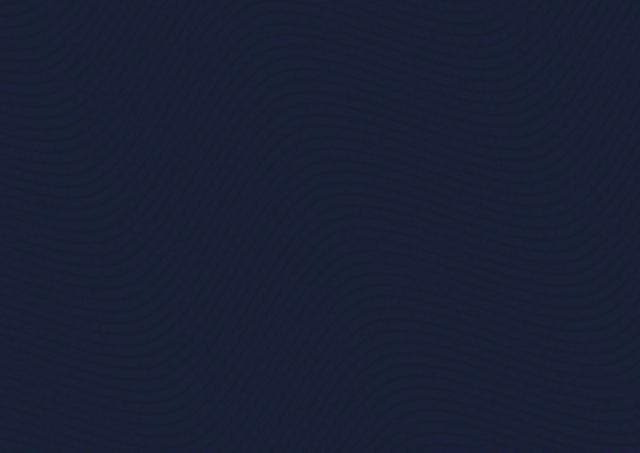 Motif de fond bleu nuit de la charte graphique Plume de Lynx