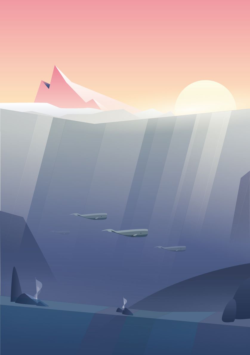 Baleines