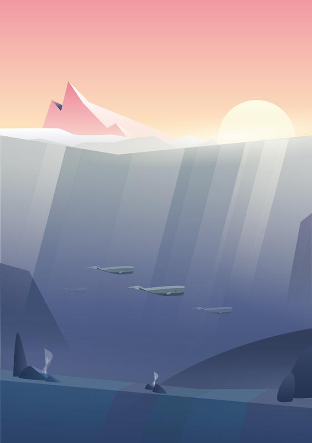 Baleines