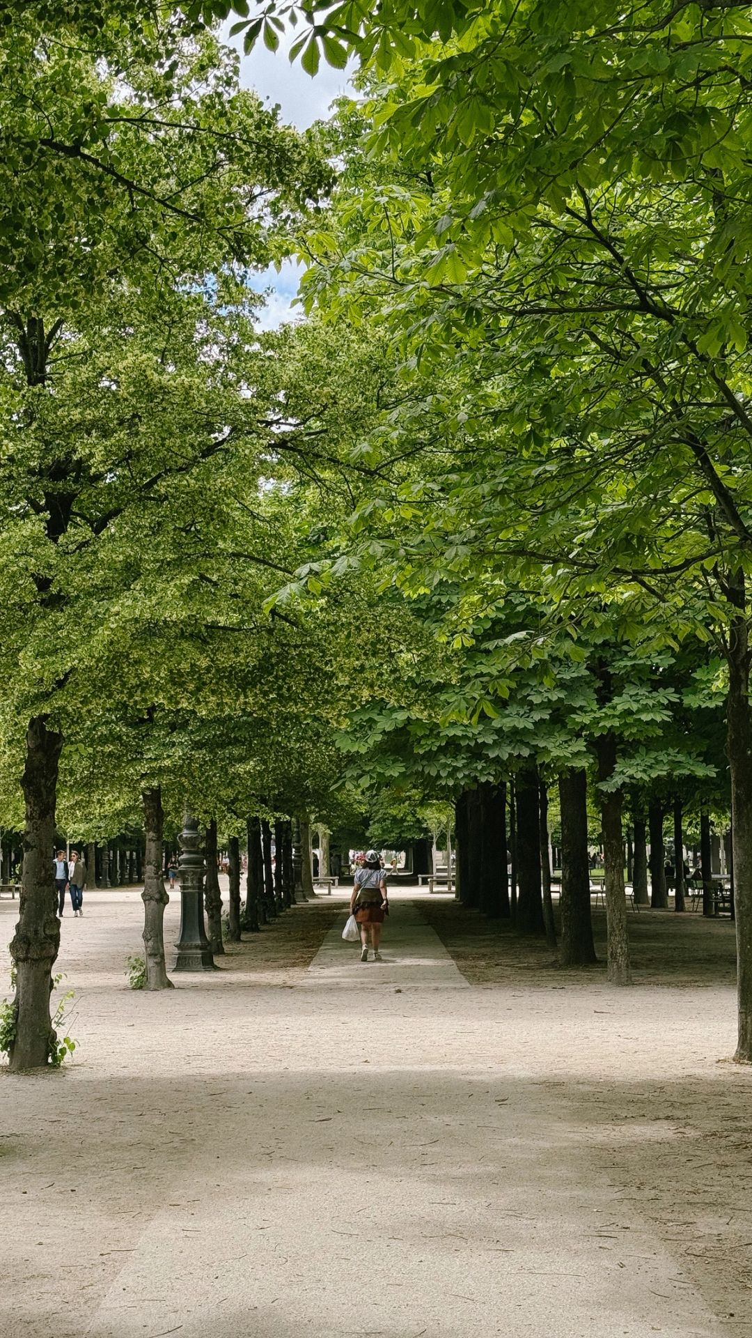 Jardin des Tuileries