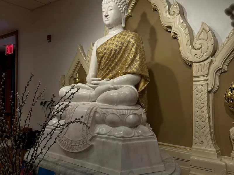 Meditation Center Buddha, image 4