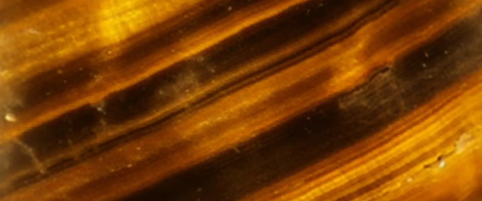 Tiger Eye