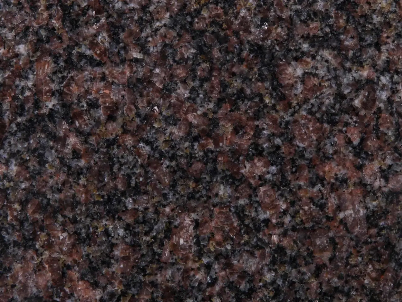 Coffee Brown