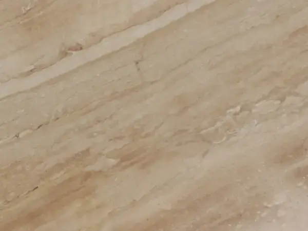 داينو ريالي
