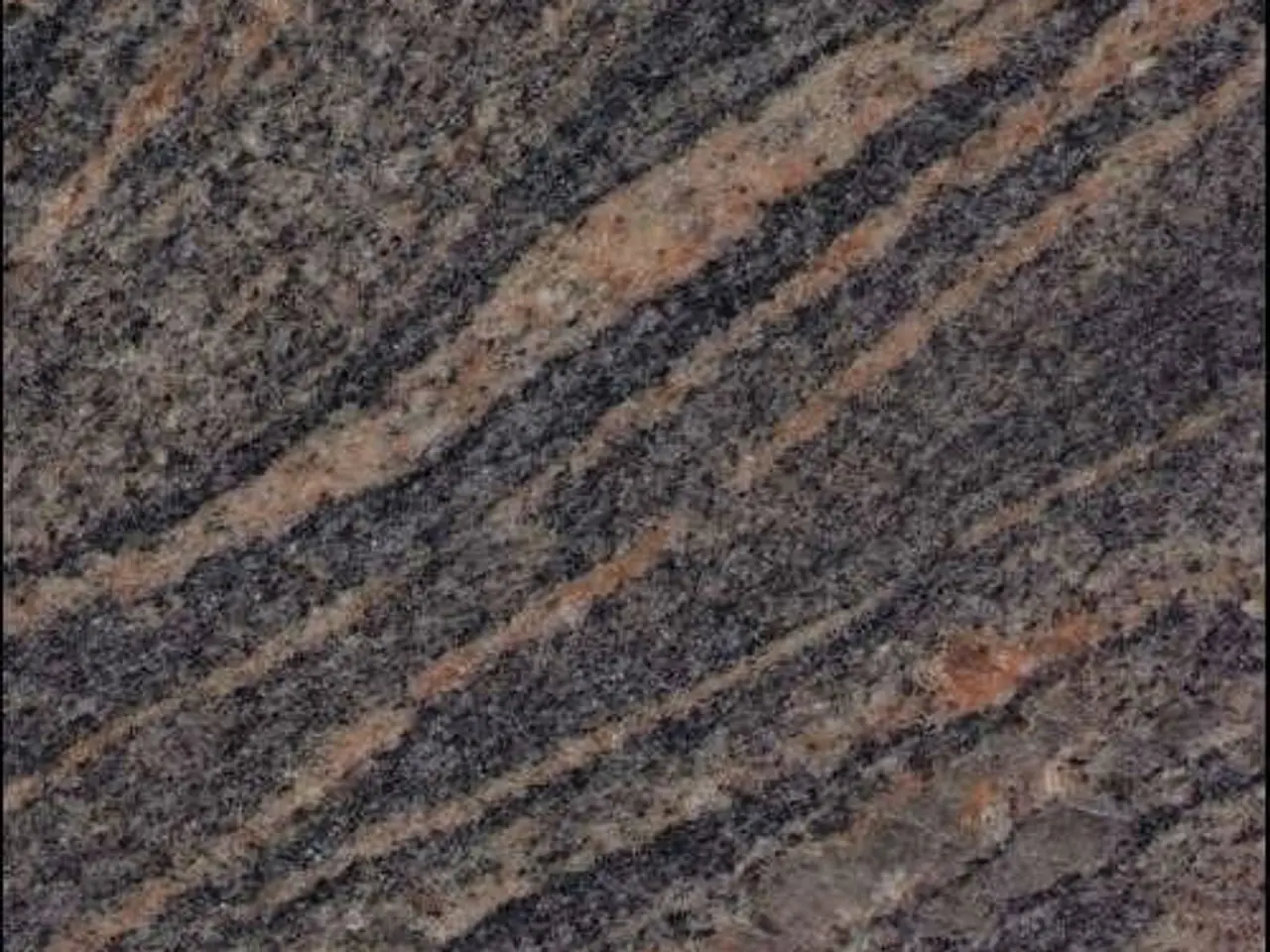 Himalayan Blue