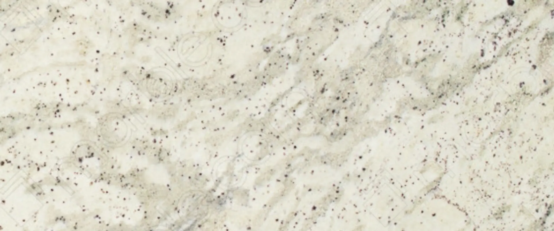 Andromeda White