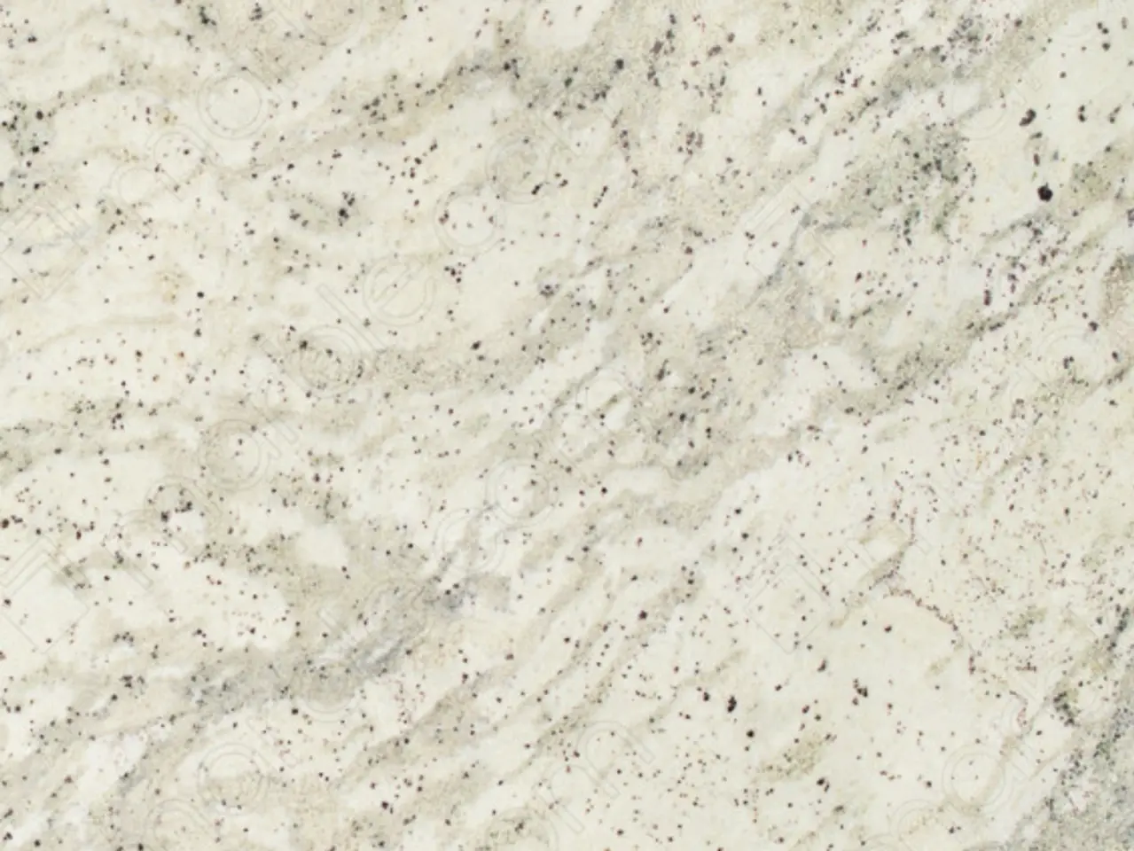 Andromeda White