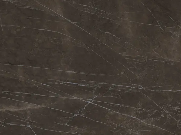 بيترا غراي