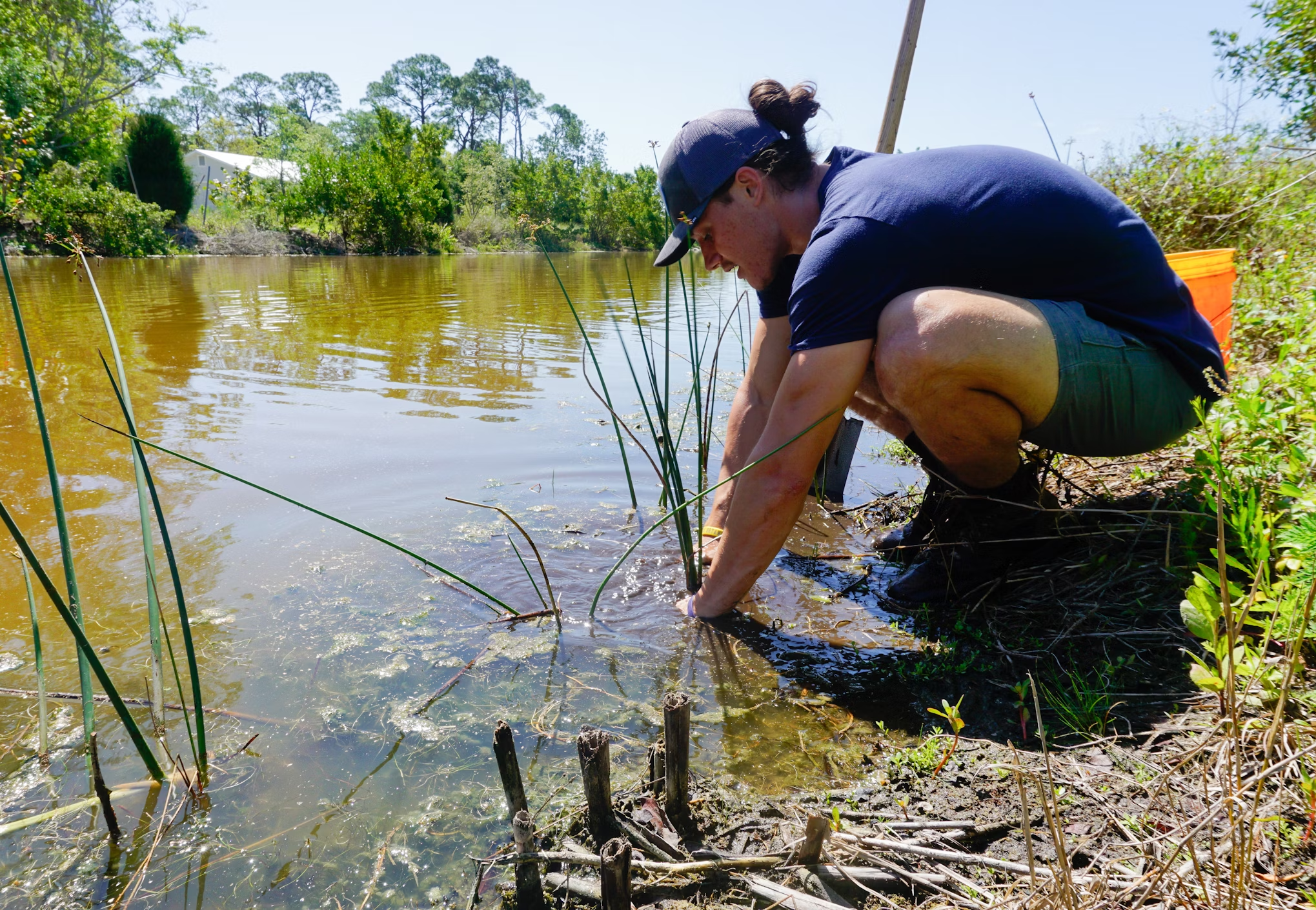 Global Deterioration of Water Quality