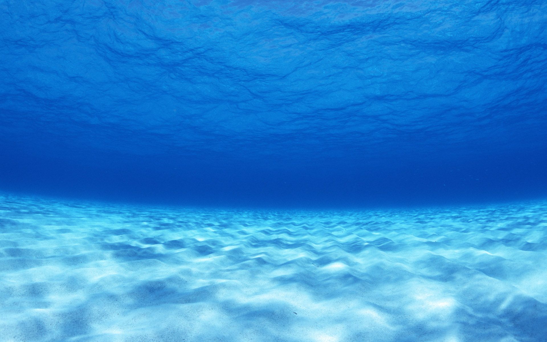Ocean Lab