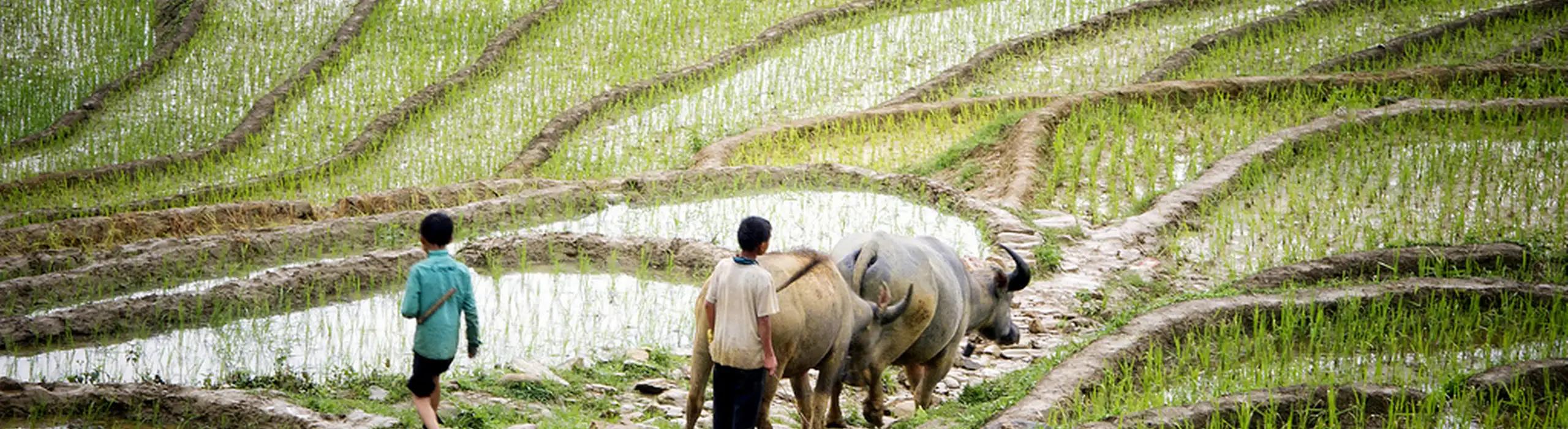 ‘Glocal’ water governance - Research projects 1 & 2