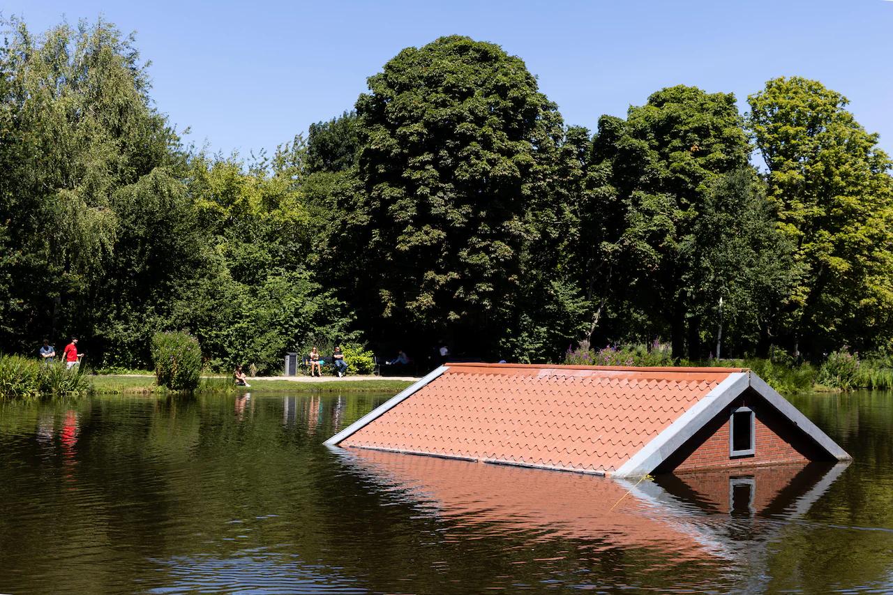 FIRM: Flood Insurance and Risk Management