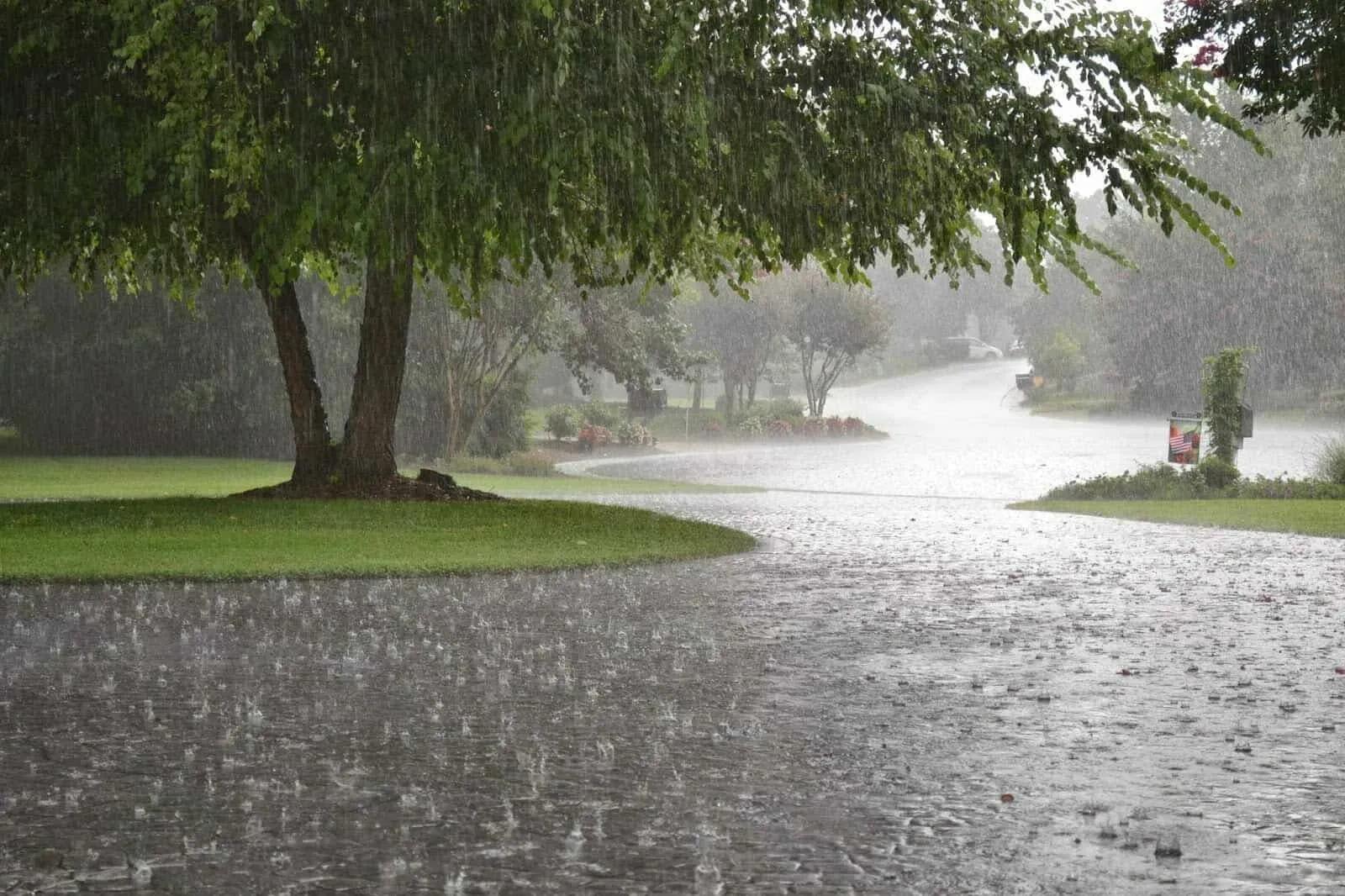 Heavy Rainfall & Flooding