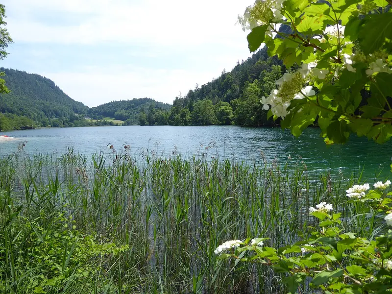 Thumsee bei Bad Reichenhall — ruhige Natur, ideal fuer Urlaub mit Hund