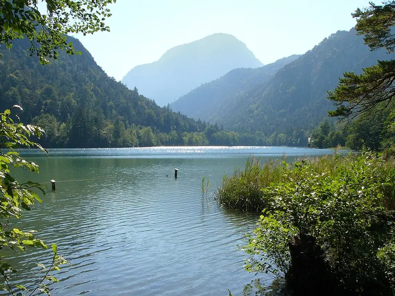 Uferweg am Thumsee — kurze, bequeme Wege fuer entspannte Runden mit dem Hund