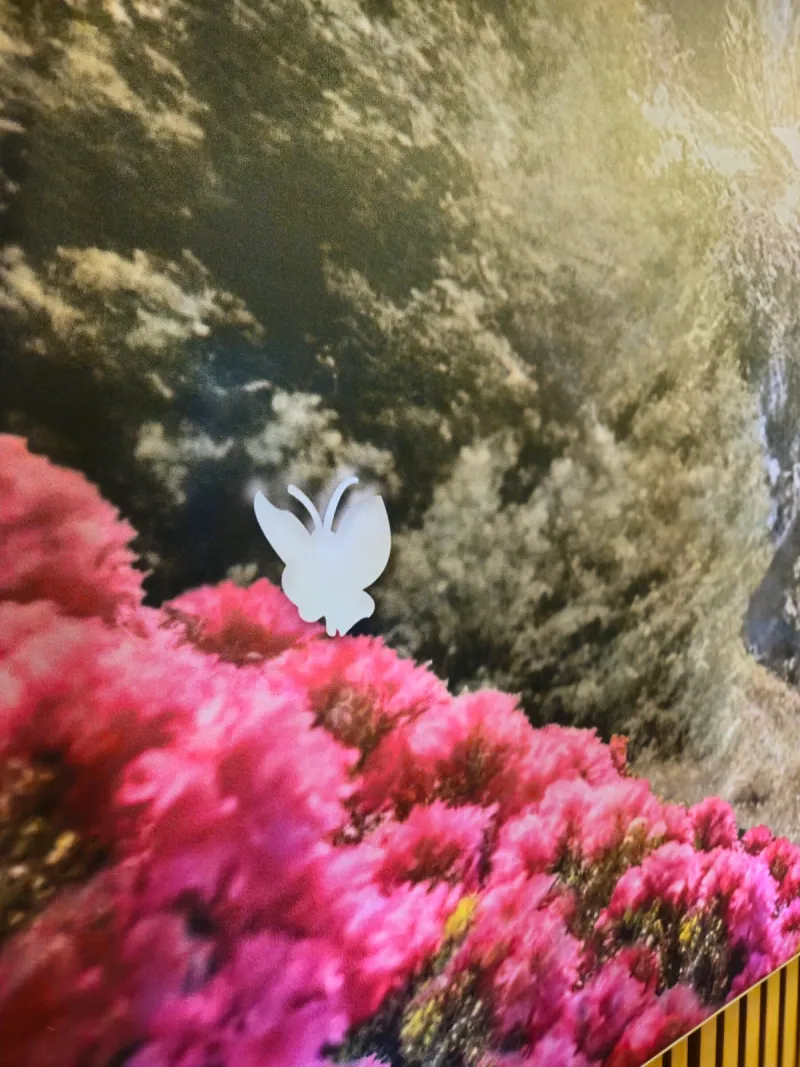 Annexe of Hotel Almrausch Bad Reichenhall – view 8