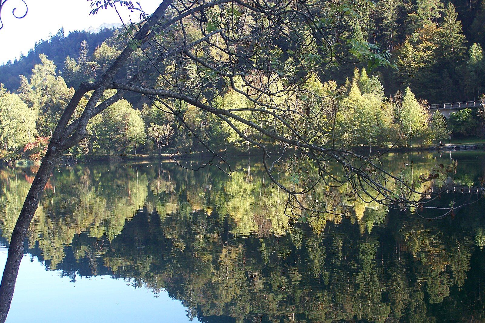 Herbstliche Ruhe am Thumsee — gut kombinierbar mit einem entspannten Golfurlaub