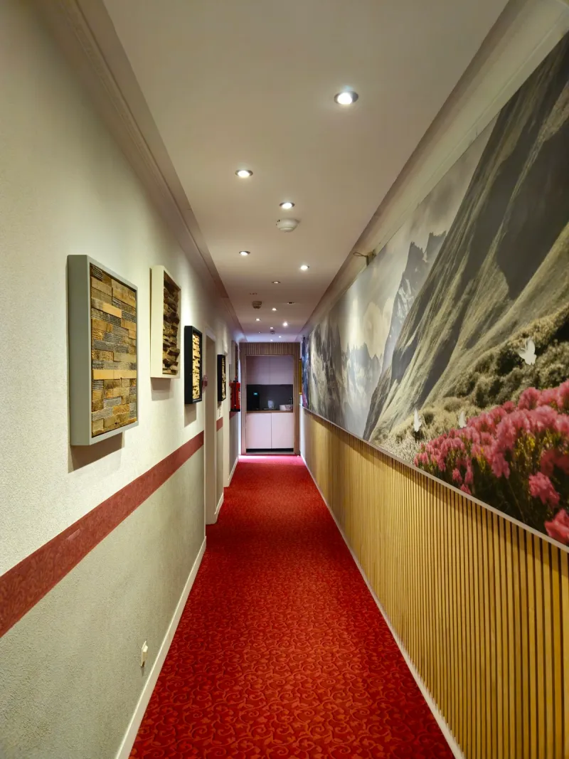 Historic staircase in Hotel Almrausch Bad Reichenhall – view 8