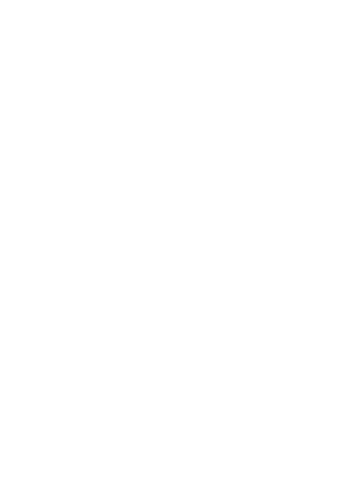 Home Team Science and Technology Agency's Logo'