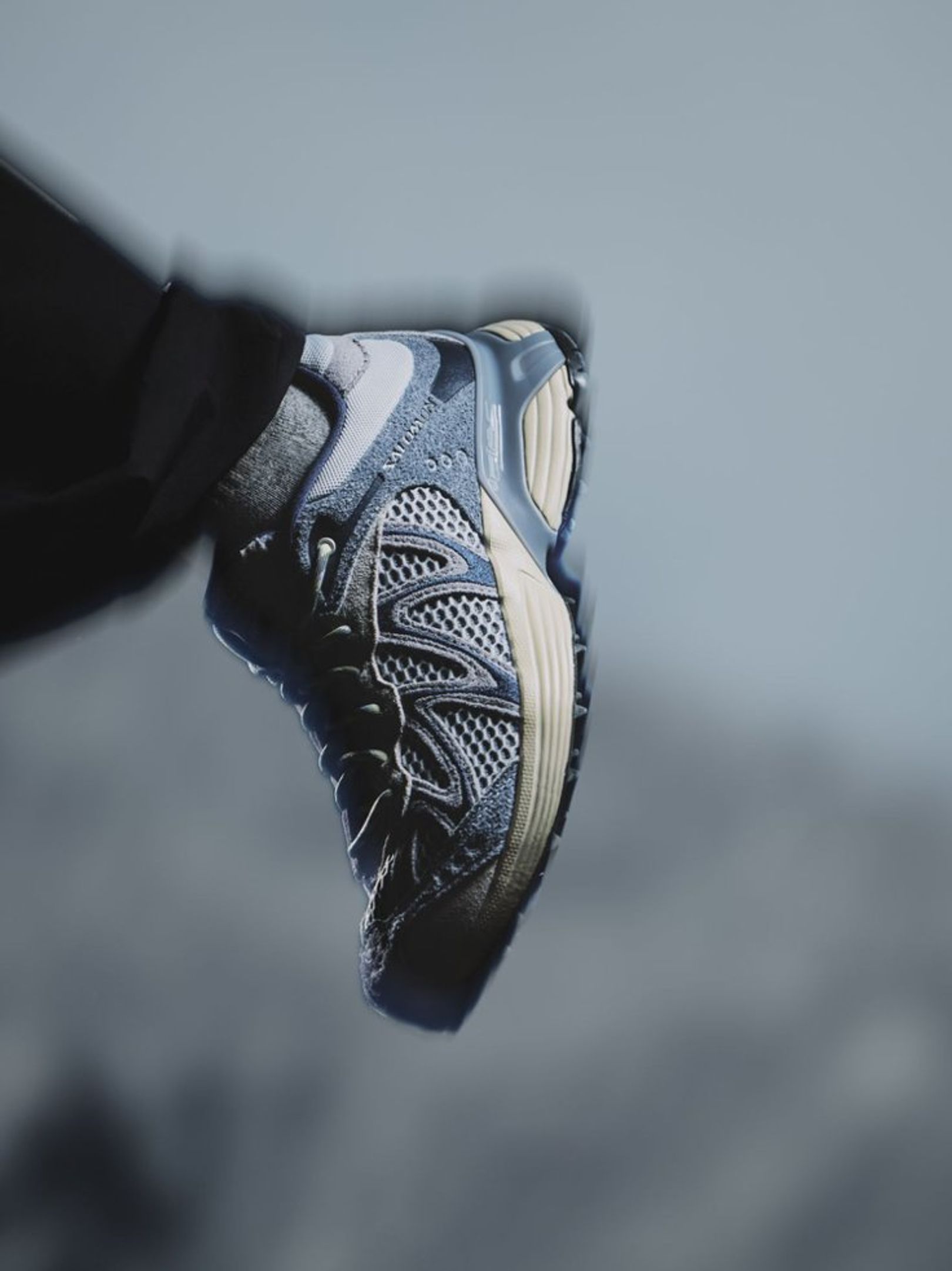 Salomon Blue 5