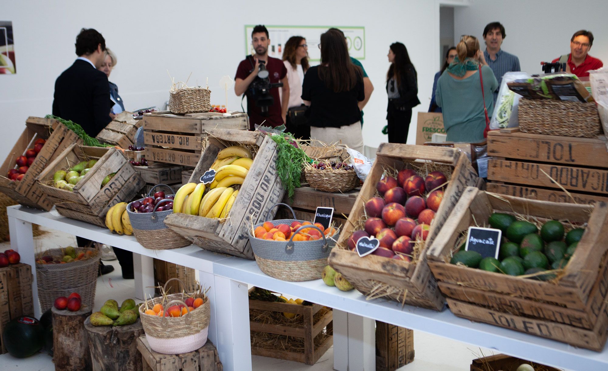 Aldi The Market of Aldi (3)