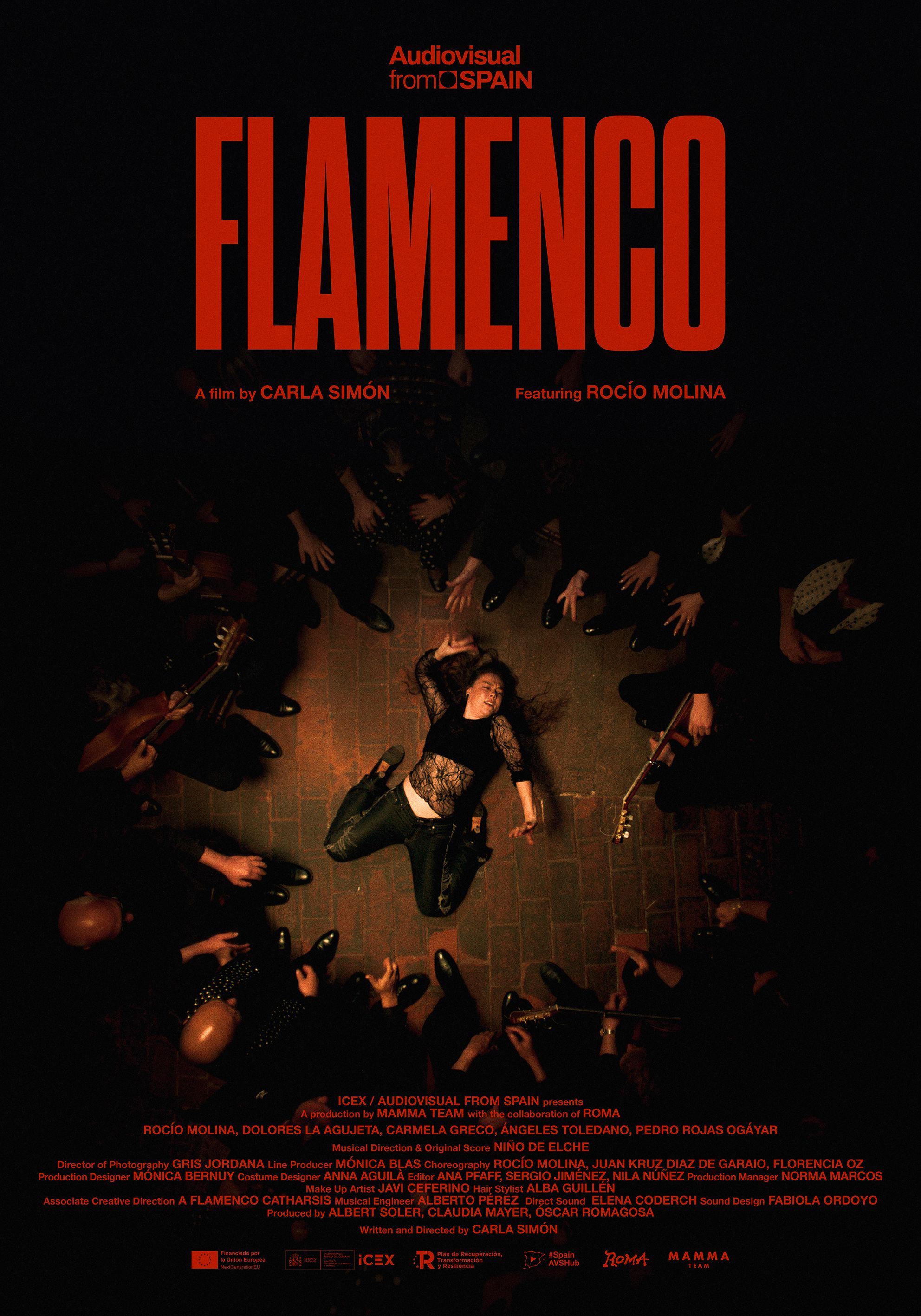 ICEX / Audiovisual From Spain FLAMENCO (1)