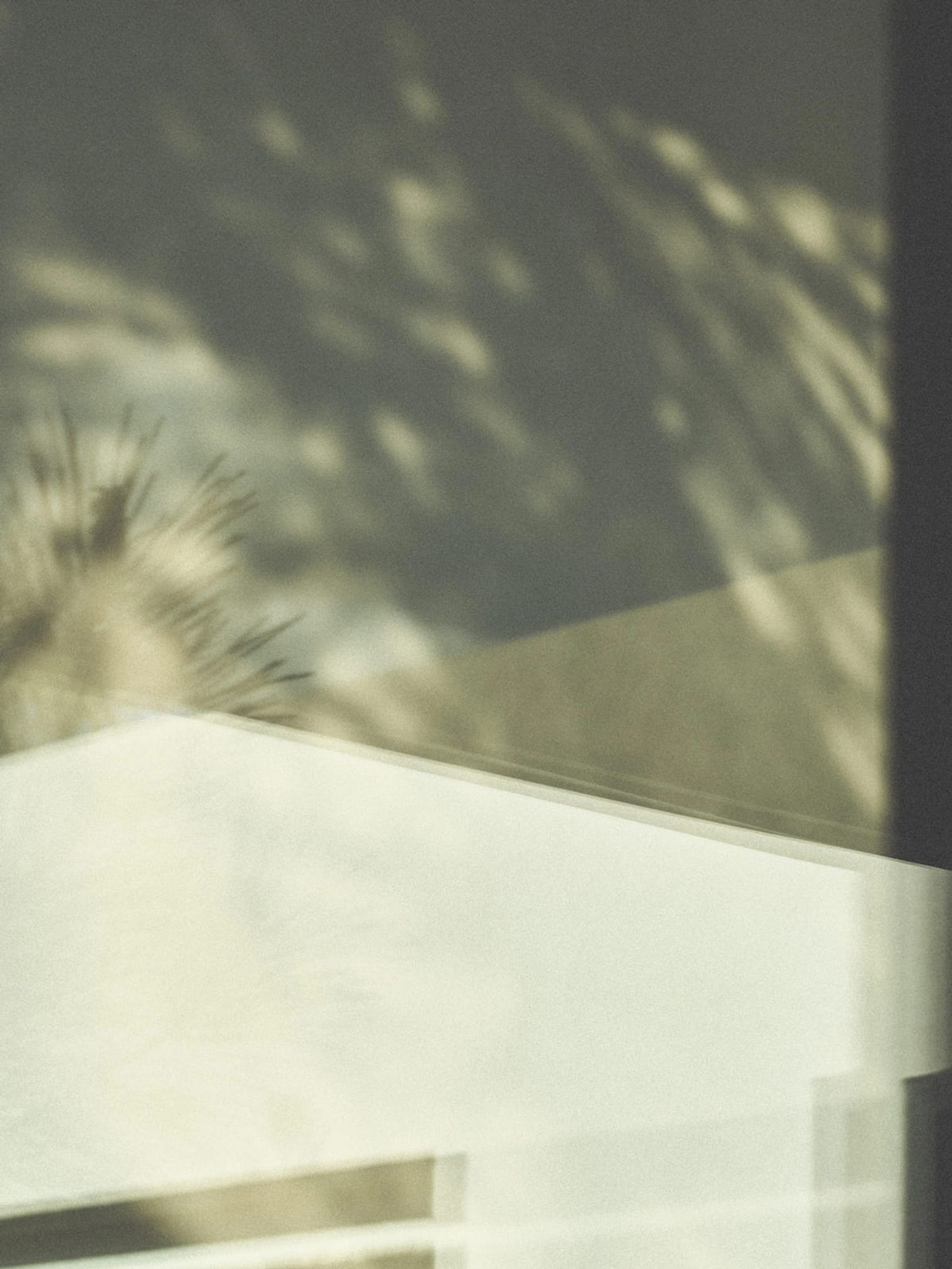 Zara Home Under The Sun 8