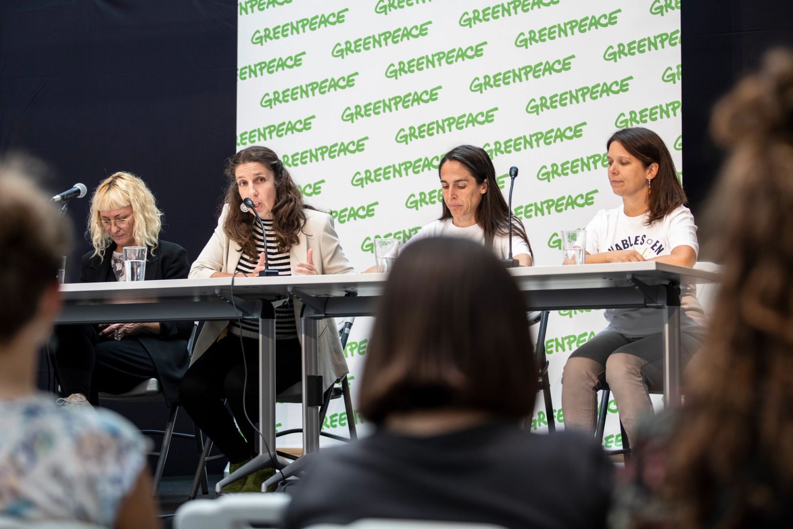 Greenpeace Renewables 4