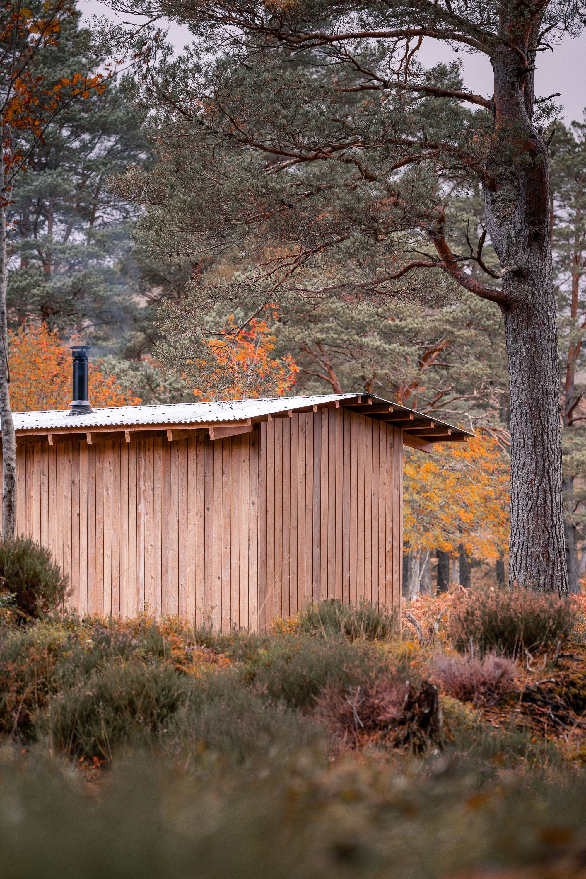 Calluna Sauna | Out of the Valley