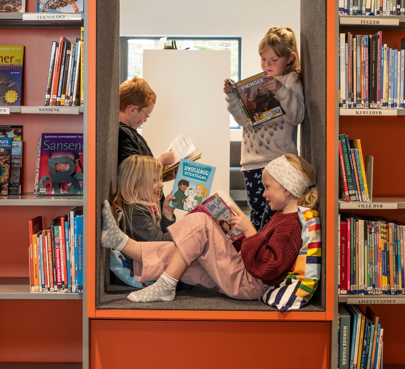 en bok kalt sansen sitter på en hylle i et bibliotek