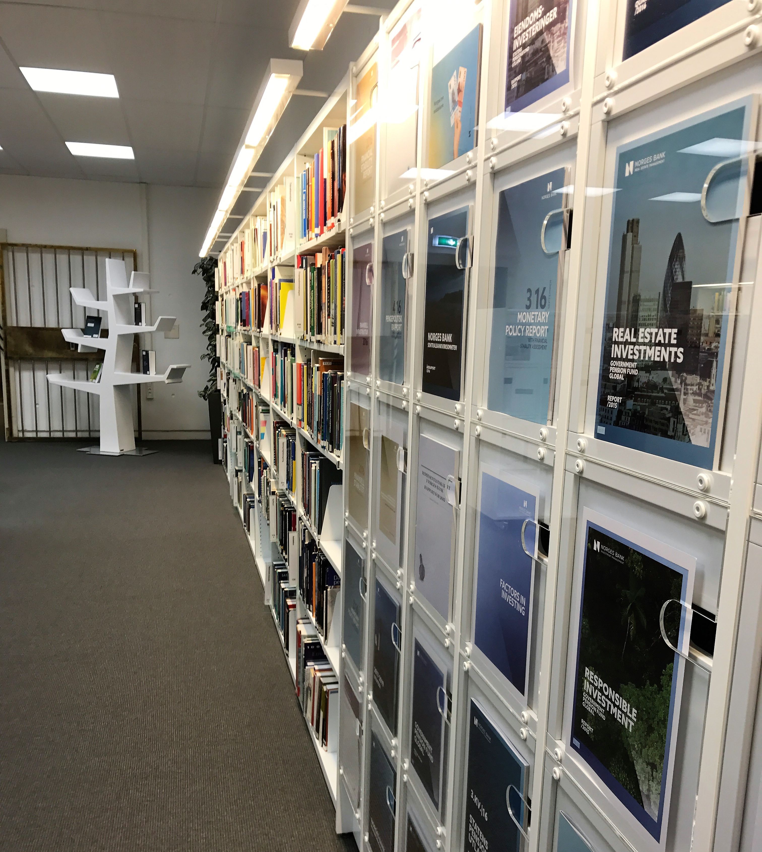 a row of bookshelves with one titled real estate investments