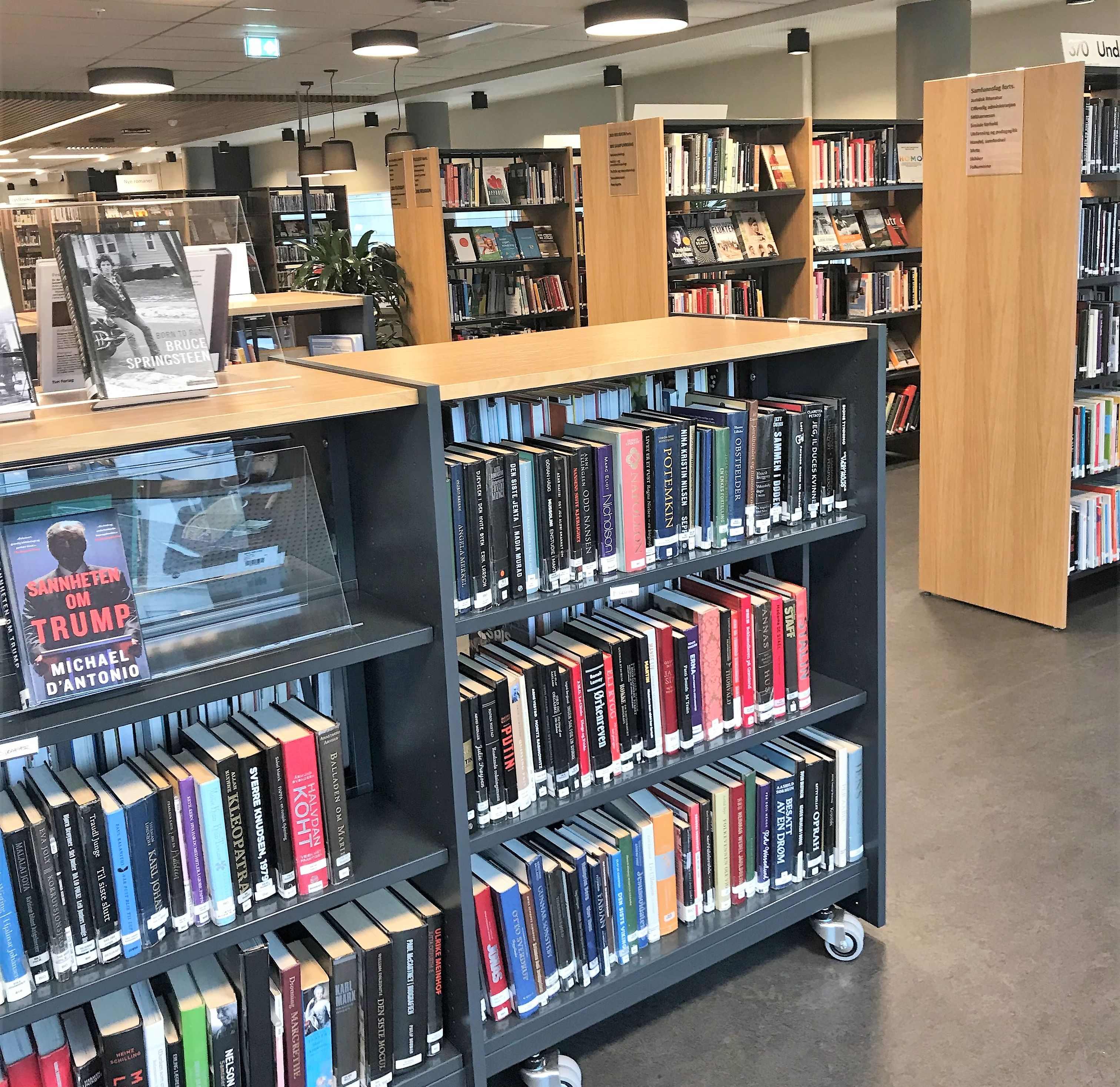 det er mange bøker på hyllene i biblioteket.